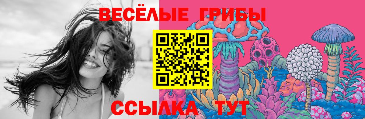 Городец  Галлюциногенные грибы Cubensis  Вход с VPN  Псилоцибиновые грибы Psilocybe 